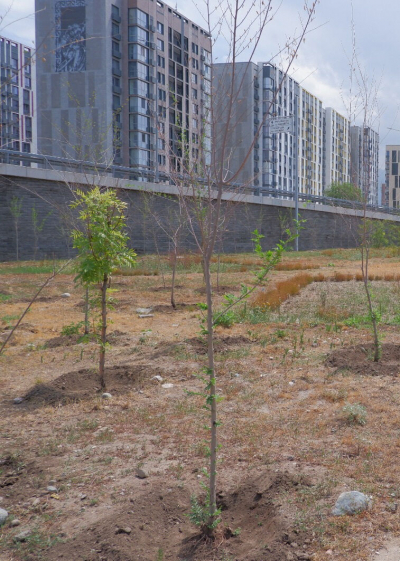 Дорогие ошибки