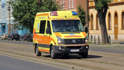 В Польше турист получил разрыв голени в результате нападения зубра