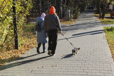 В Новосибирской области ожидается резкое похолодание: названа дата