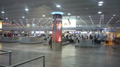 В аэропорту Чикаго у пассажира в багаже нашли тушу обезьяны