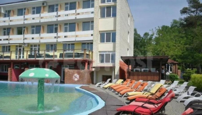 Известного в Приморье бизнесмена лишили центра семейного отдыха