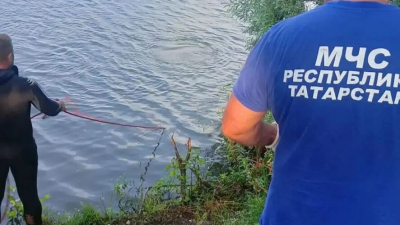 В Мензелинском районе в пруду утонула пятилетняя девочка 25/07/2026 &ndash; Новости