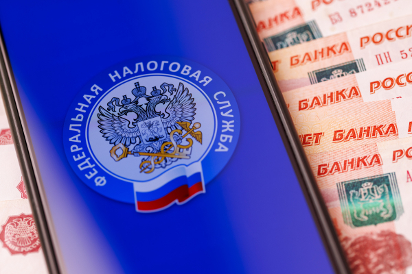 Кабмин внес в Госдуму законопроект об усилении налогового контроля за импортом и доходами физлиц