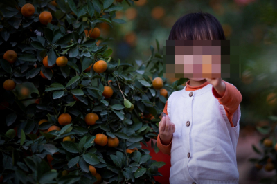 Деньги на &quot;лечение&quot; умершего ребенка собирали в Алматинской области