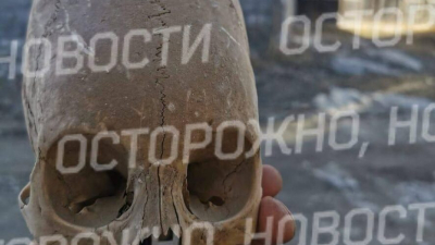 Строители во время дорожных работ обнаружили человеческие останки - видео 22/02/2026 &ndash; Новости