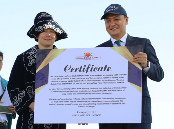 40 тысяч луковиц тюльпанов от Королевства Нидерландов передали Жамбылской области