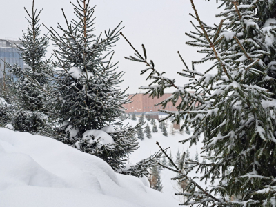 В Татарстане объявили штормовое предупреждение из-за снега и метели