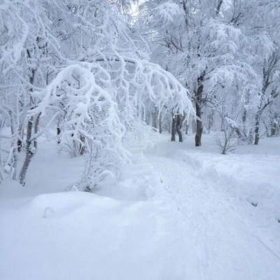 Как глобальное потепление обернулось суровой и снежной зимой в России