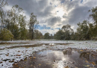 Лето на Среднем Урале сменится заморозками в грядущий уикенд