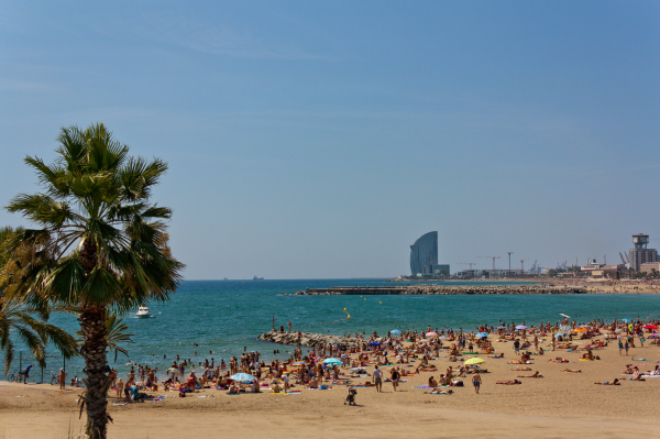 &laquo;Спектрум&raquo;: россиян предупредили о нашествии медуз в Индии, Египте и Сицилии