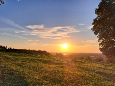 Синоптики призвали новосибирцев быть готовыми к аномальной жаре в мае
