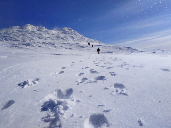 &laquo;Было предчувствие&raquo;: жена погибшего на Мунку-Сардык гида раскрыла его переживания
