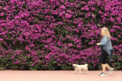 Проходить по 70 тысяч шагов в неделю