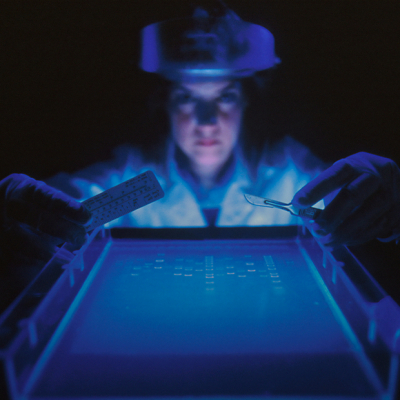 «Никакой «чистоты расы» или «чистоты крови» не существует»