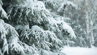 Морозная ночь и небольшой снег днём ожидаются в Татарстане в этот четверг 05/03/2026 – Новости