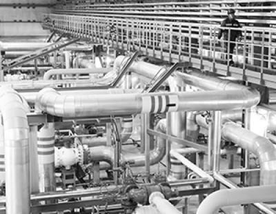 Явка на выборах в Венгрии установила исторический рекорд