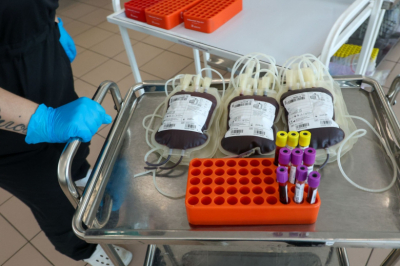 Врач рассказала, как донорская кровь используется в трансплантологии