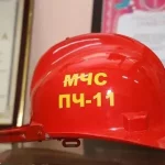 Дети переживали, спасатели действовали: кошку сняли из-под моста в Атырау