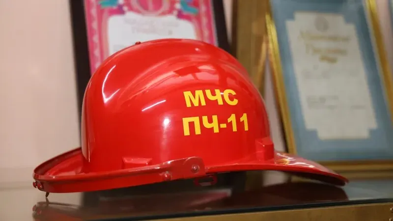 Как спасали двух щенков в Таразе: видео