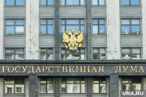 Депутатов Тюменской облдумы пристыдили за покупку новогодних подарков сиротам