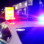 Владельца лошади наказали после смертельного ДТП с мотоциклистом в Павлодарской области